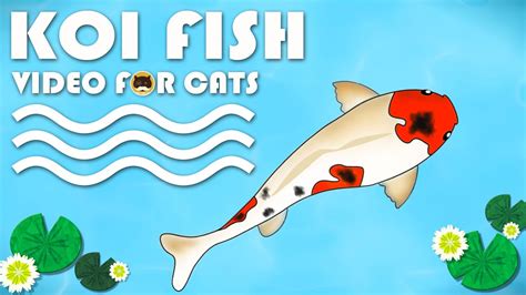 fish game for cats|CAT GAMES ON SCREEN .